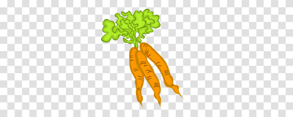 Carrots Food, Vegetable, Plant, Root Transparent Png