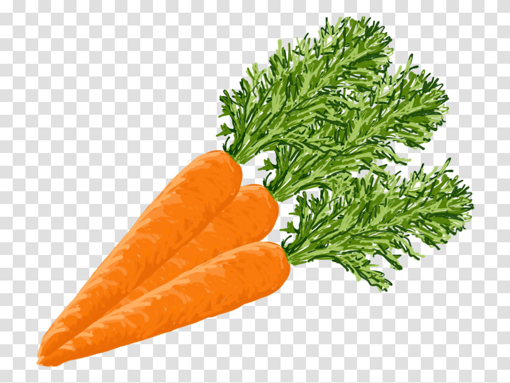 Carrots Baby Carrot, Plant, Vegetable, Food Transparent Png