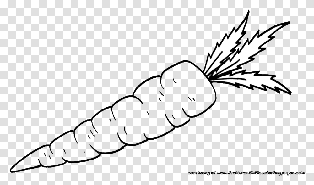 Carrots Black And White, Arrow, Scroll, Bottle Transparent Png