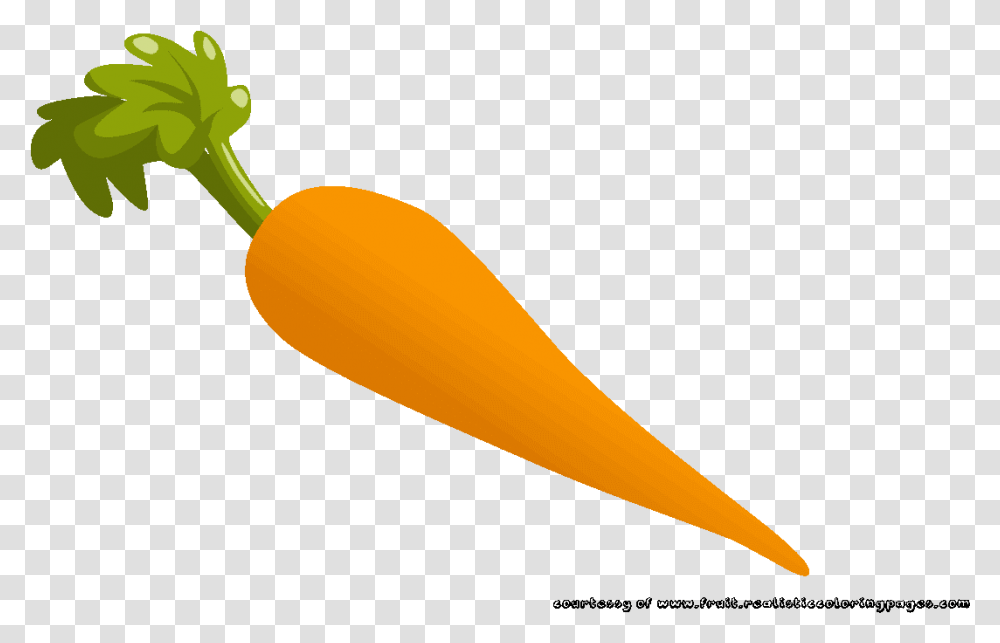 Carrots Clipart Edible Root Carrot, Plant, Vegetable, Food, Produce Transparent Png