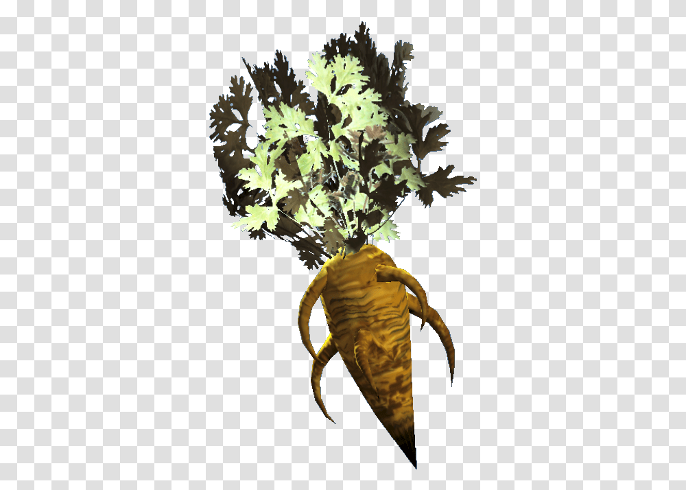 Carrots Fallout 76 Food Wiki Guide Fallout Plants, Produce, Root, Vegetable, Tree Transparent Png