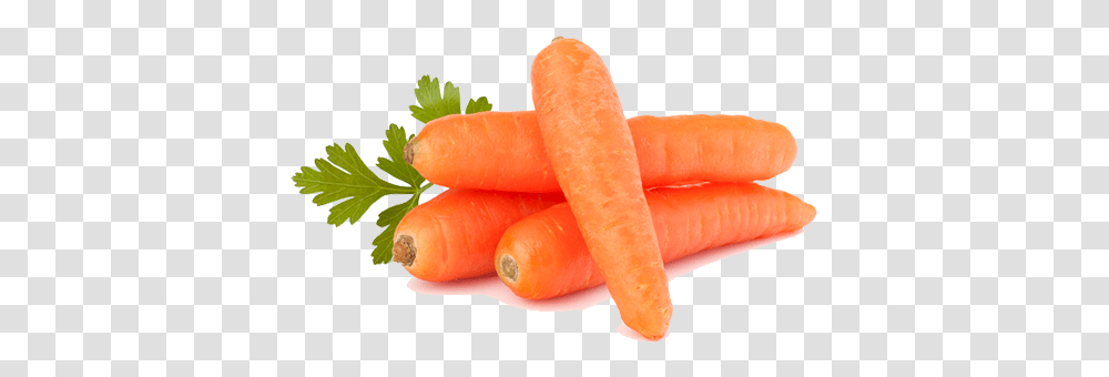 Carrots Gajar In English, Plant, Vegetable, Food, Fungus Transparent Png