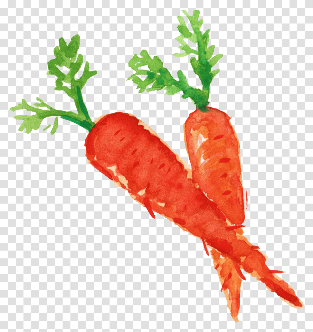 Carrots Healthy Food, Plant, Vegetable, Fungus Transparent Png