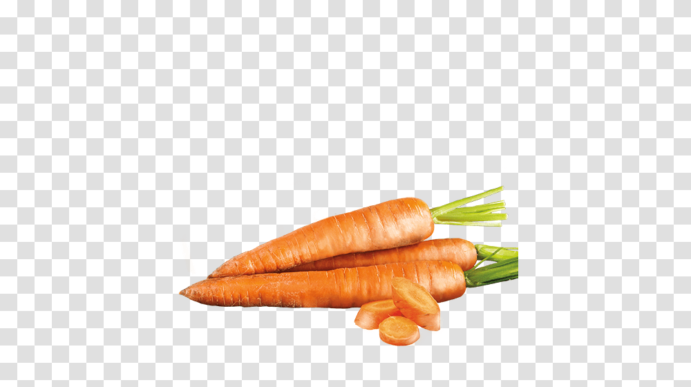 Carrots Icon Castor Pollux Natural Petworks, Plant, Vegetable, Food, Hot Dog Transparent Png