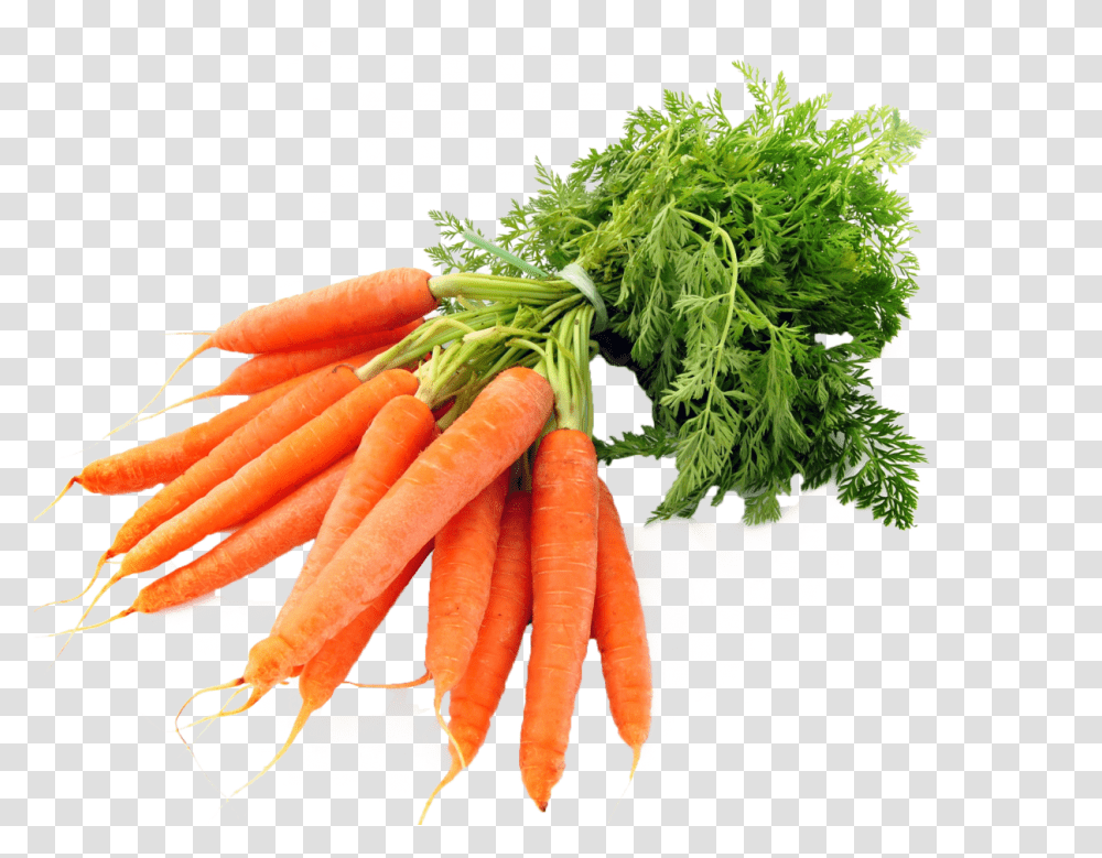 Carrots Image Background Carrot, Plant, Vegetable, Food, Produce Transparent Png
