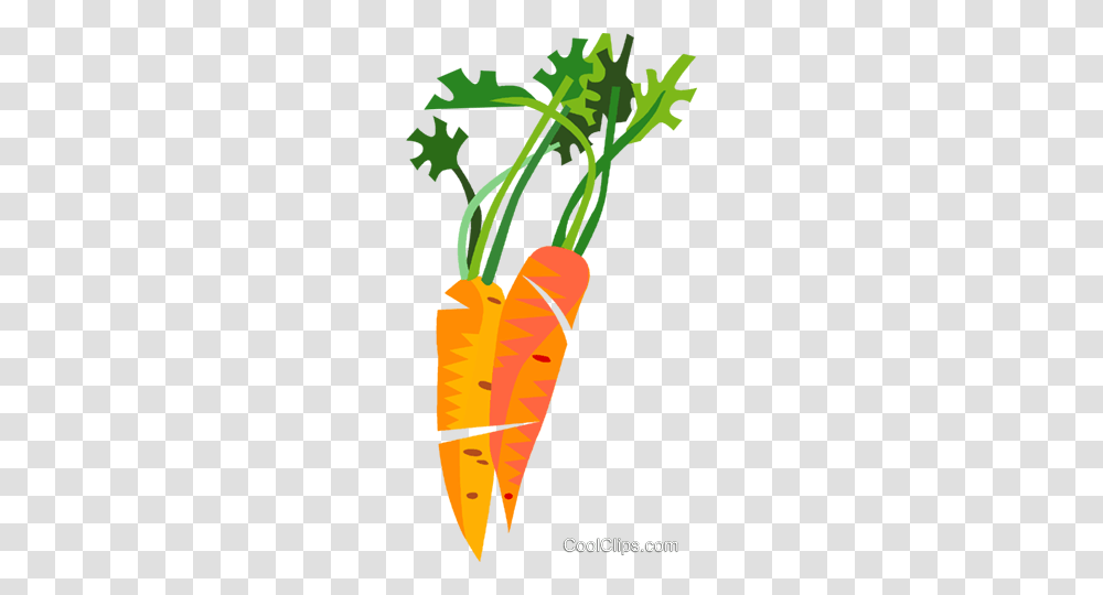 Carrots Royalty Free Vector Clip Art Illustration, Plant, Vegetable, Food Transparent Png