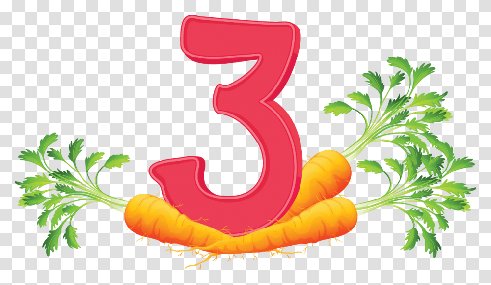 Carrots Vector, Plant, Vegetable, Food, Number Transparent Png