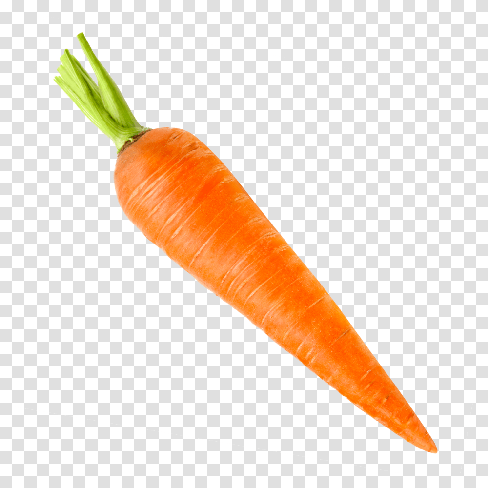 Carrots Vegetable Carrot, Plant, Food, Hammer, Tool Transparent Png