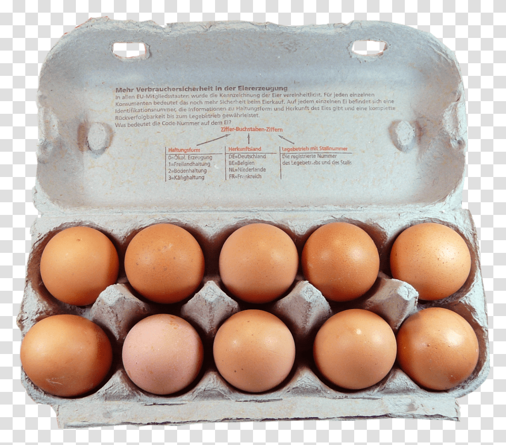 Carton Of One Dozen Eggs Egg Pack Transparent Png