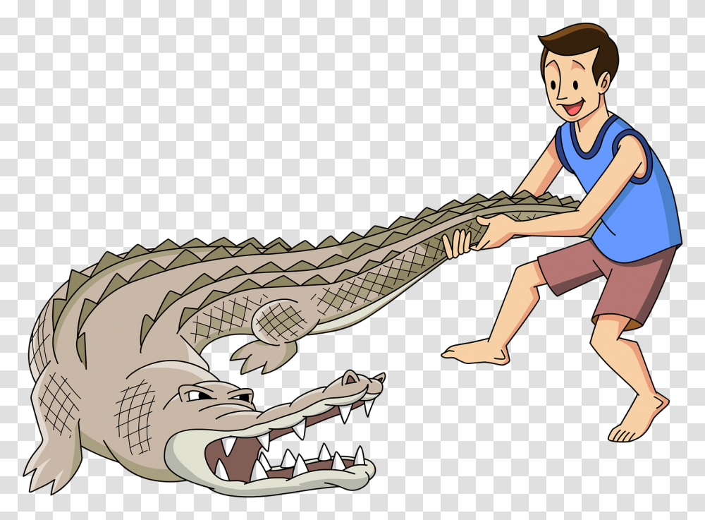 Cartoon Alligator Alligators, Animal, Person, Human, Dinosaur Transparent Png
