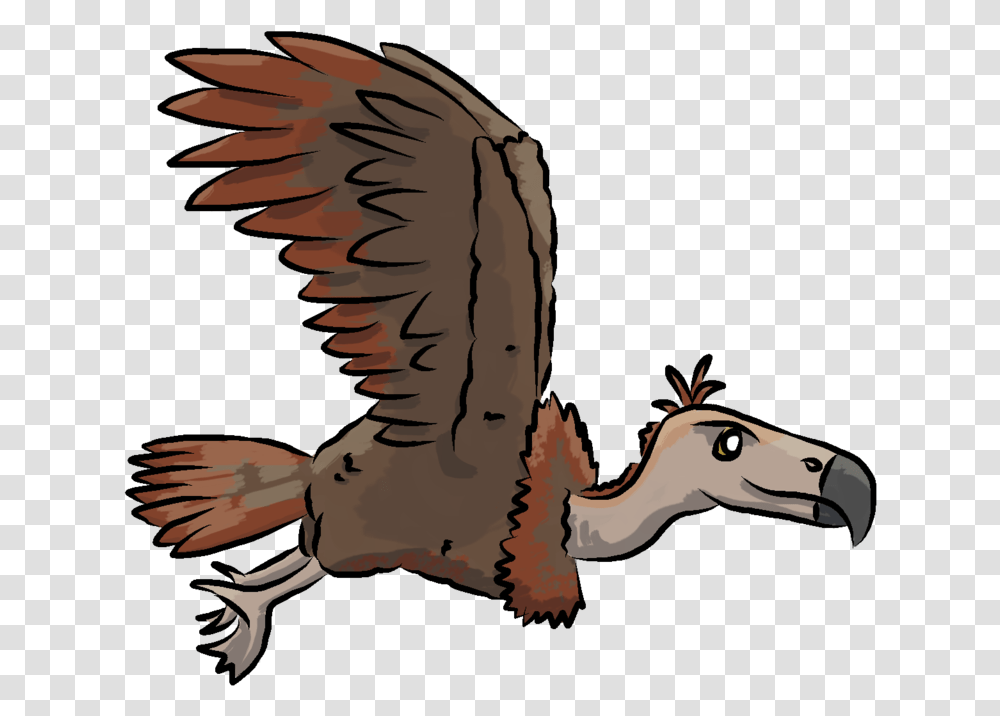 Cartoon, Animal, Bird, Eagle, Person Transparent Png