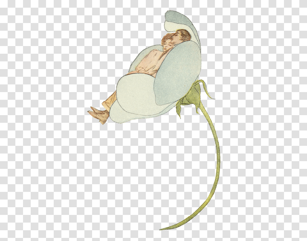 Cartoon, Animal, Invertebrate, Insect, Plant Transparent Png