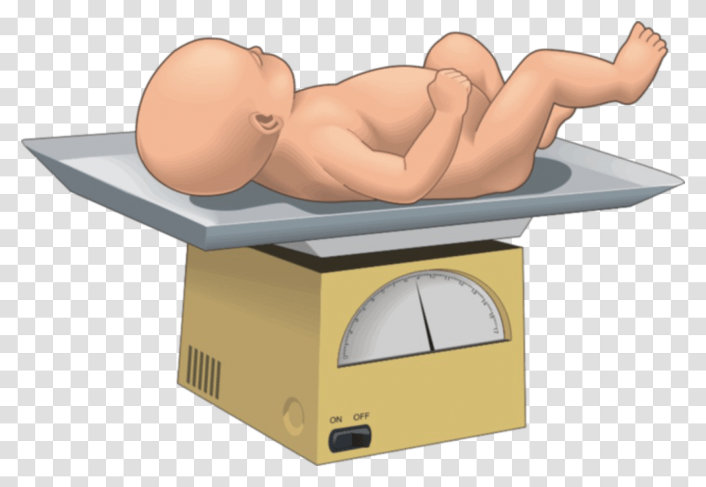Cartoon Baby Being Weighed Babies, Scale, Person, Human Transparent Png