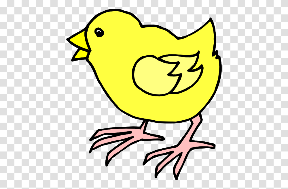 Cartoon Baby Chick Clip Art, Animal, Bird, Fowl, Poultry Transparent Png