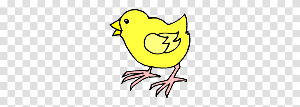 Cartoon Baby Chick Clip Art, Bird, Animal, Poultry, Fowl Transparent Png