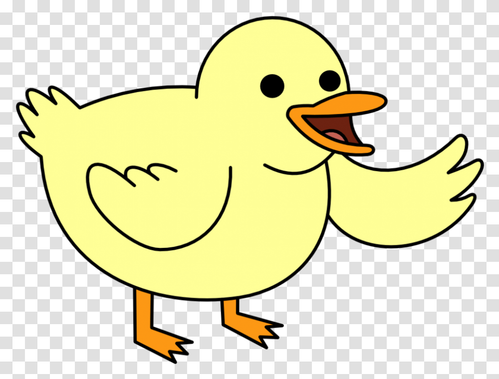 Cartoon Baby Duck Baby Duck Clipart, Bird, Animal, Poultry, Fowl Transparent Png