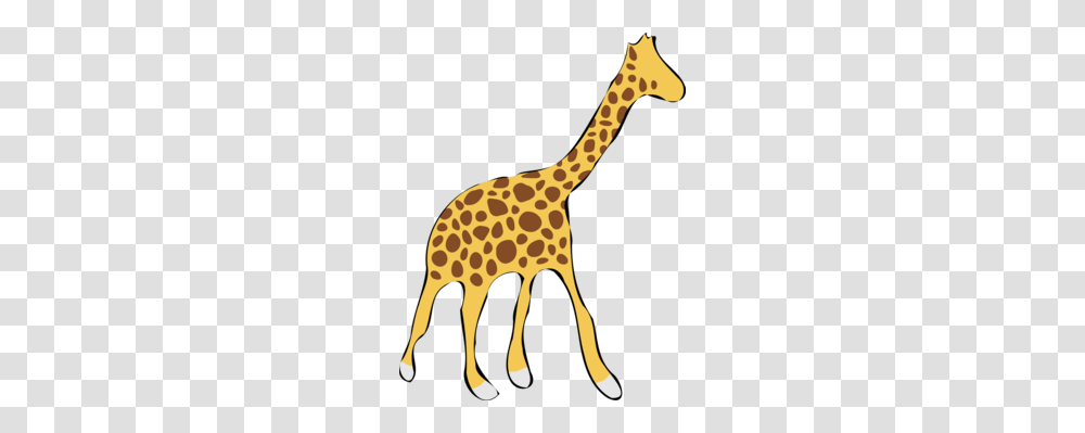 Cartoon Baby Giraffes Drawing Northern Giraffe Illustrator Free, Wildlife, Mammal, Animal Transparent Png