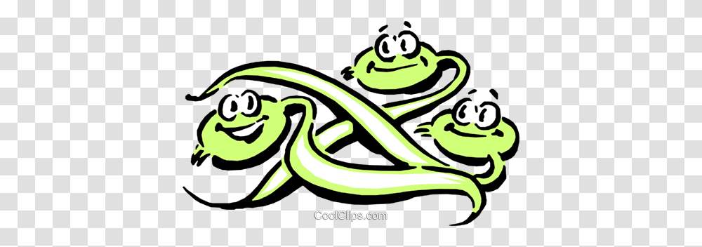 Cartoon Bean Sprouts Royalty Free Vector Clip Art Illustration, Frog, Amphibian, Wildlife, Animal Transparent Png