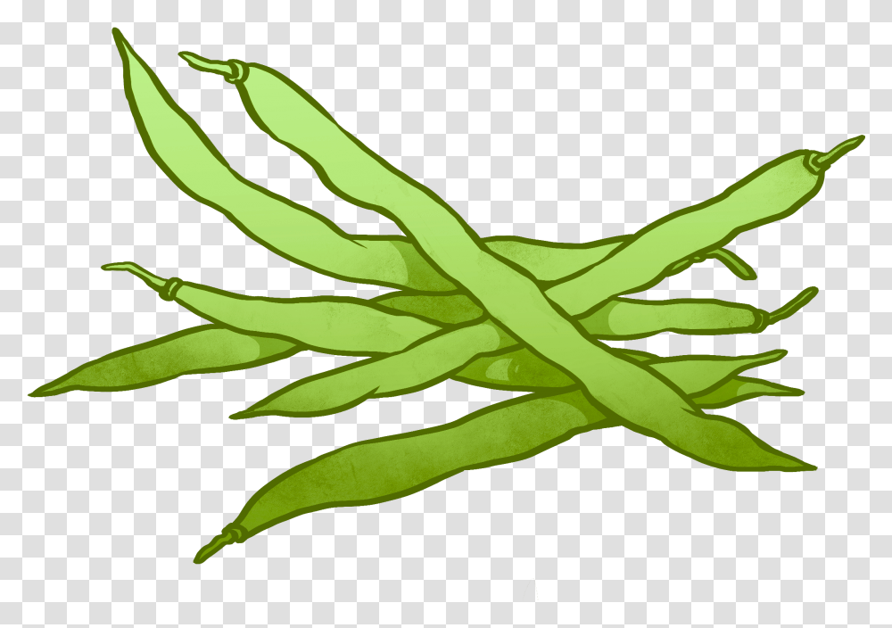 Cartoon Beans Black And White Green Beans Clipart, Plant, Vegetable, Food, Produce Transparent Png