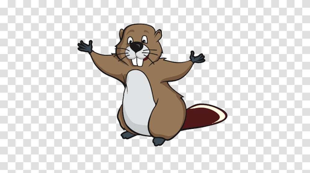 Cartoon Beaver, Wildlife, Rodent, Animal, Mammal Transparent Png