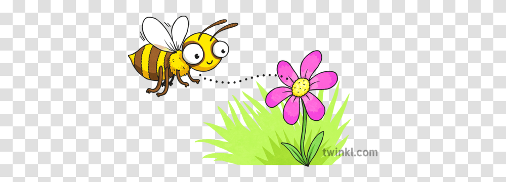 Cartoon Bee And Flower Illustration Twinkl Black And White Cartoon Bee, Graphics, Floral Design, Pattern, Animal Transparent Png