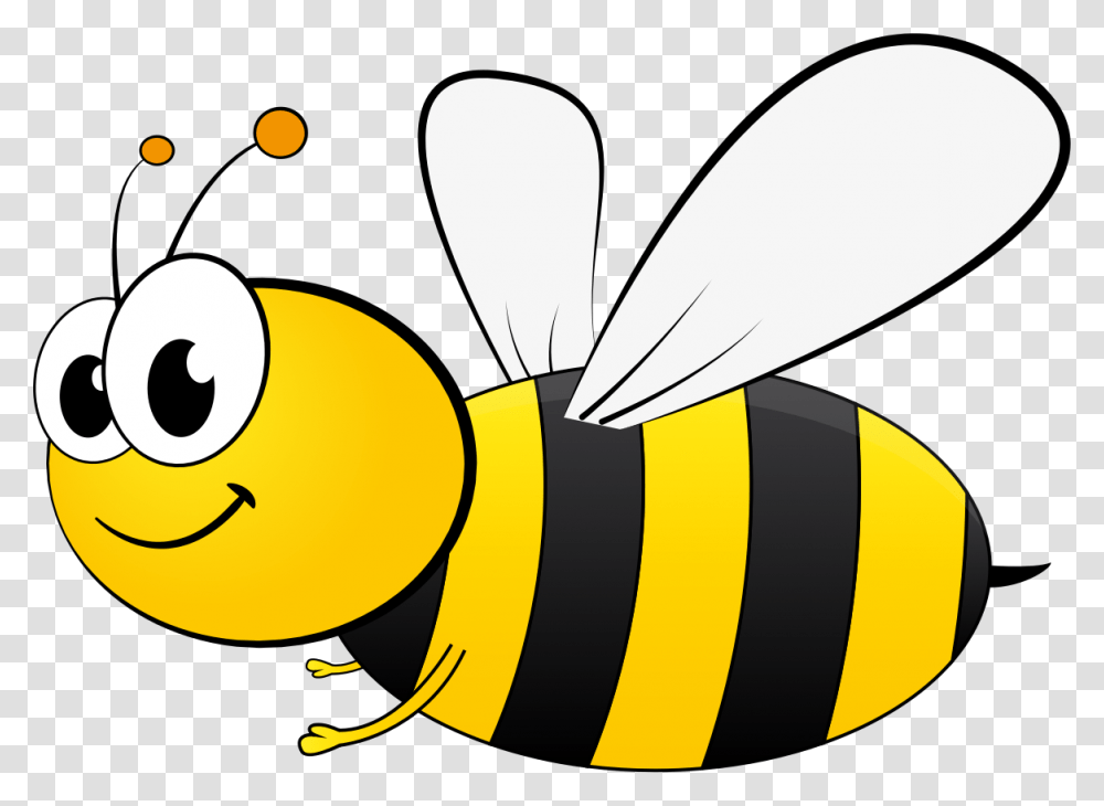 Cartoon Bee, Honey Bee, Insect, Invertebrate, Animal Transparent Png