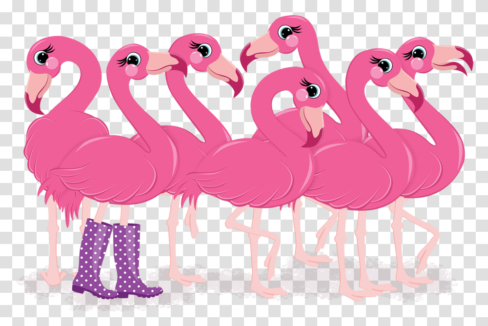 Cartoon, Bird, Animal, Flamingo Transparent Png