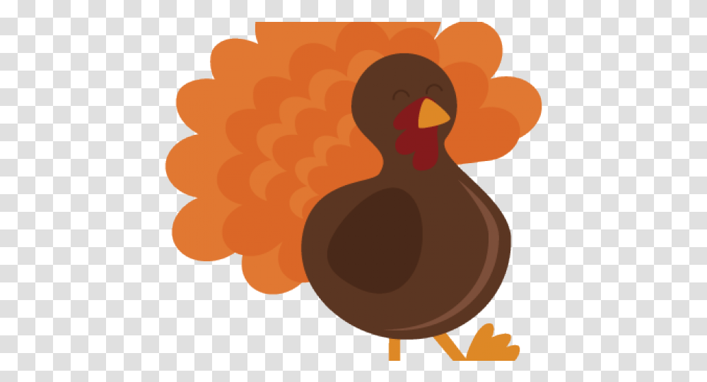 Cartoon, Bird, Animal, Fowl, Poultry Transparent Png