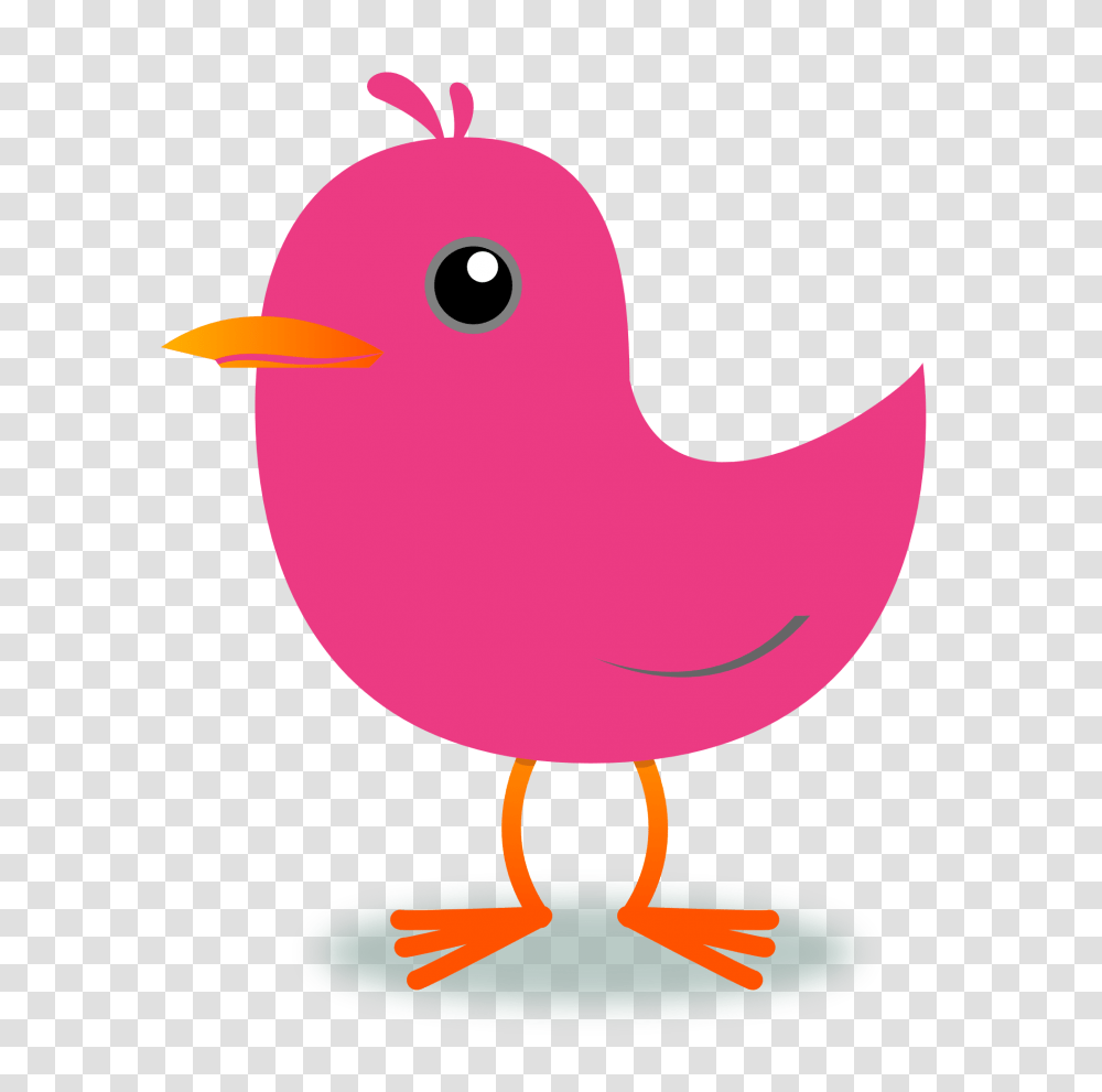 Cartoon Bird Clipart Free, Animal, Beak, Bluebird Transparent Png