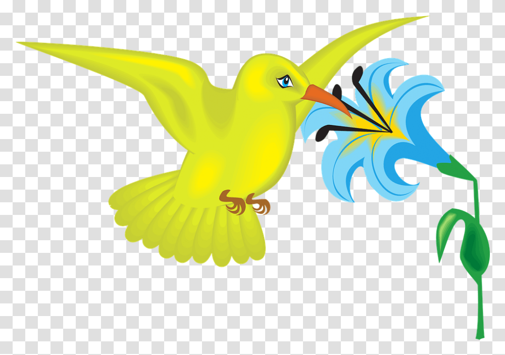 Cartoon Bird Flower And Bird Clipart, Beak, Animal, Graphics, Canary Transparent Png