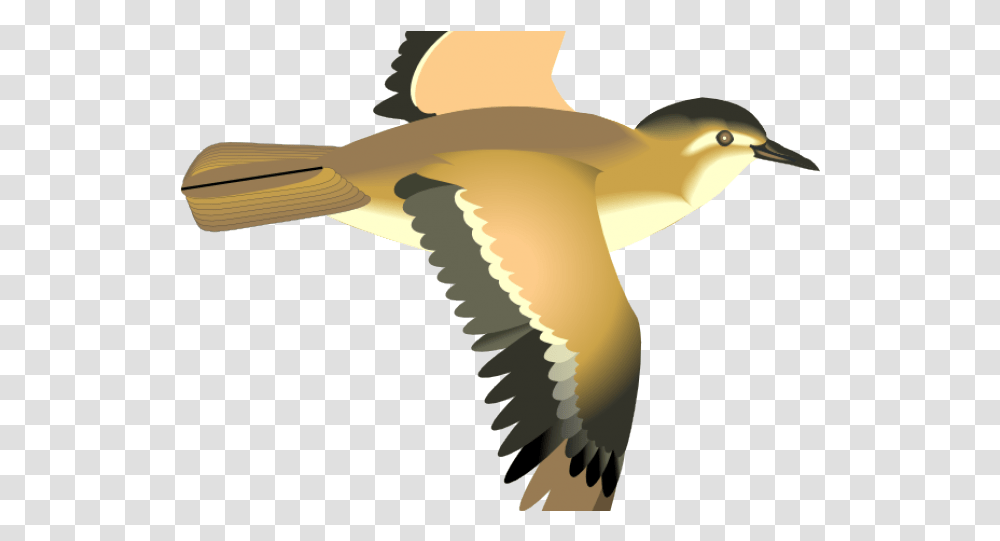 Cartoon Bird Flying Bird Clipart Flying, Animal, Vulture Transparent Png