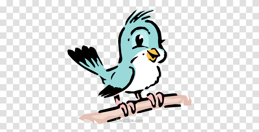 Cartoon Bird Royalty Free Vector Clip Art Illustration, Animal, Beak, Finch Transparent Png