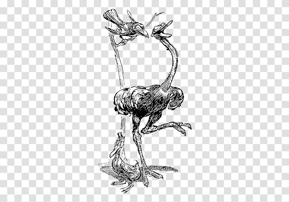 Cartoon Birds Crow Bird Three Tree Laughing Public Common Ostrich, Animal, Reptile, Dinosaur, Mammal Transparent Png