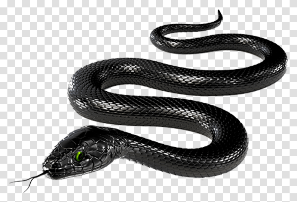 Cartoon Black Mamba Snake, Reptile, Animal, King Snake, Cobra Transparent Png