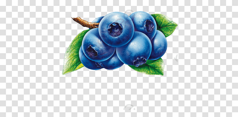 Cartoon Blueberries Blueberries Clipart, Plant, Blueberry, Fruit, Food Transparent Png