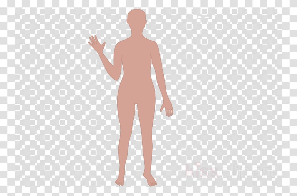 Cartoon Body Outline Background, Texture, Person, Human, Polka Dot Transparent Png