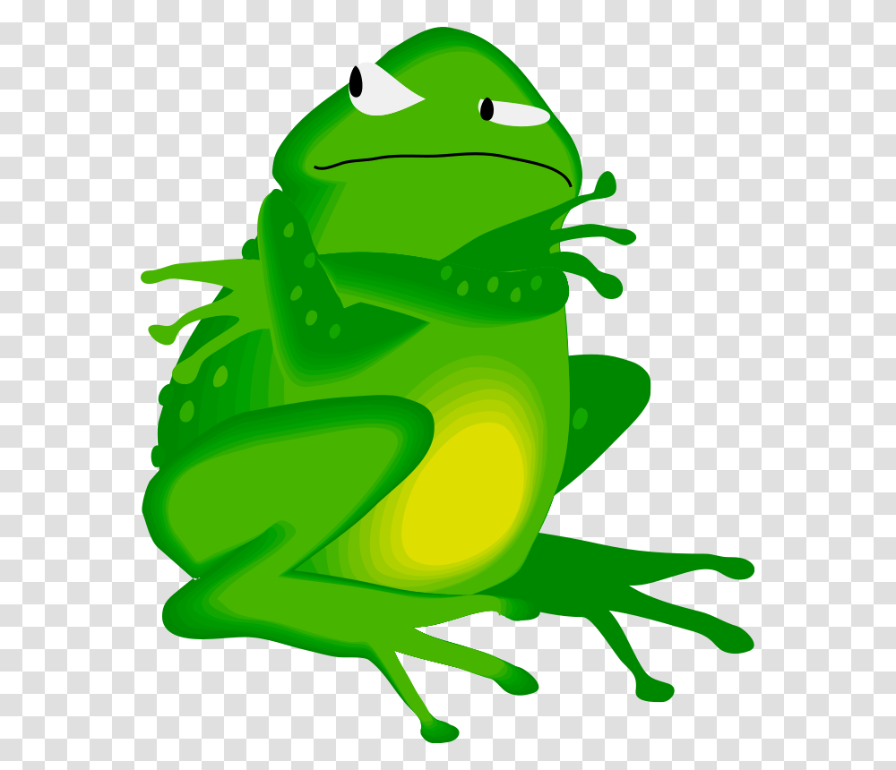 Cartoon Bullfrog, Amphibian, Wildlife, Animal, Tree Frog Transparent Png