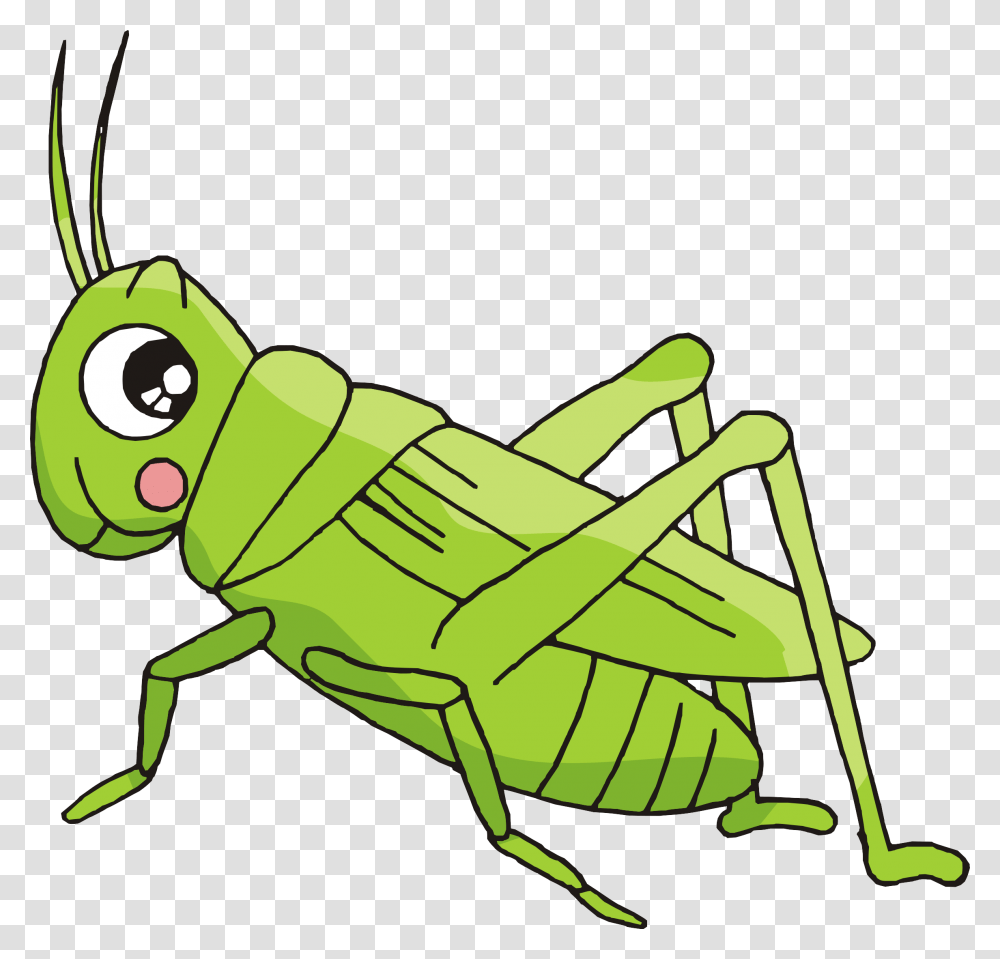 Cartoon Bush Crickets Creative Imagenes De Grillo Animadas, Grasshopper, Insect, Invertebrate, Animal Transparent Png