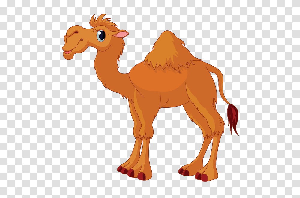 Cartoon Camel Clip Art Images Are Free To Copy For Your Own, Mammal, Animal Transparent Png