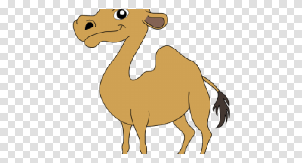 Cartoon, Camel, Mammal, Animal Transparent Png