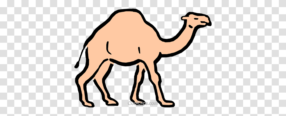 Cartoon Camel Royalty Free Vector Clip Art Illustration, Mammal, Animal, Dog, Pet Transparent Png