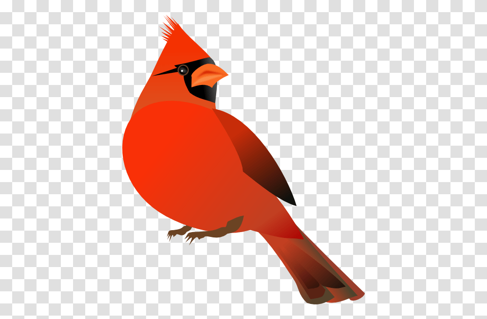 Cartoon Cardinal, Bird, Animal Transparent Png