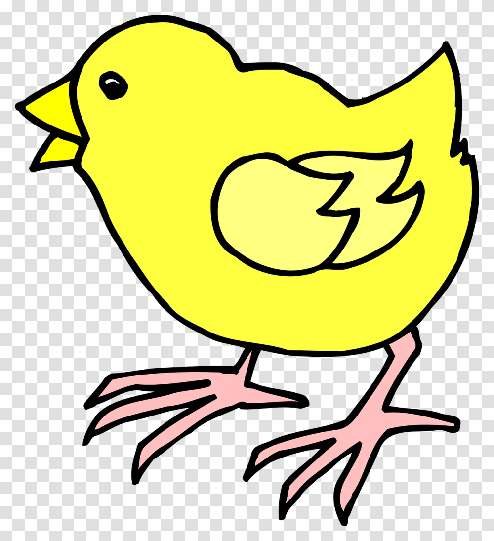 Cartoon Chick Clip Art Cartoon Image Of A Chick, Animal, Bird, Fowl, Poultry Transparent Png