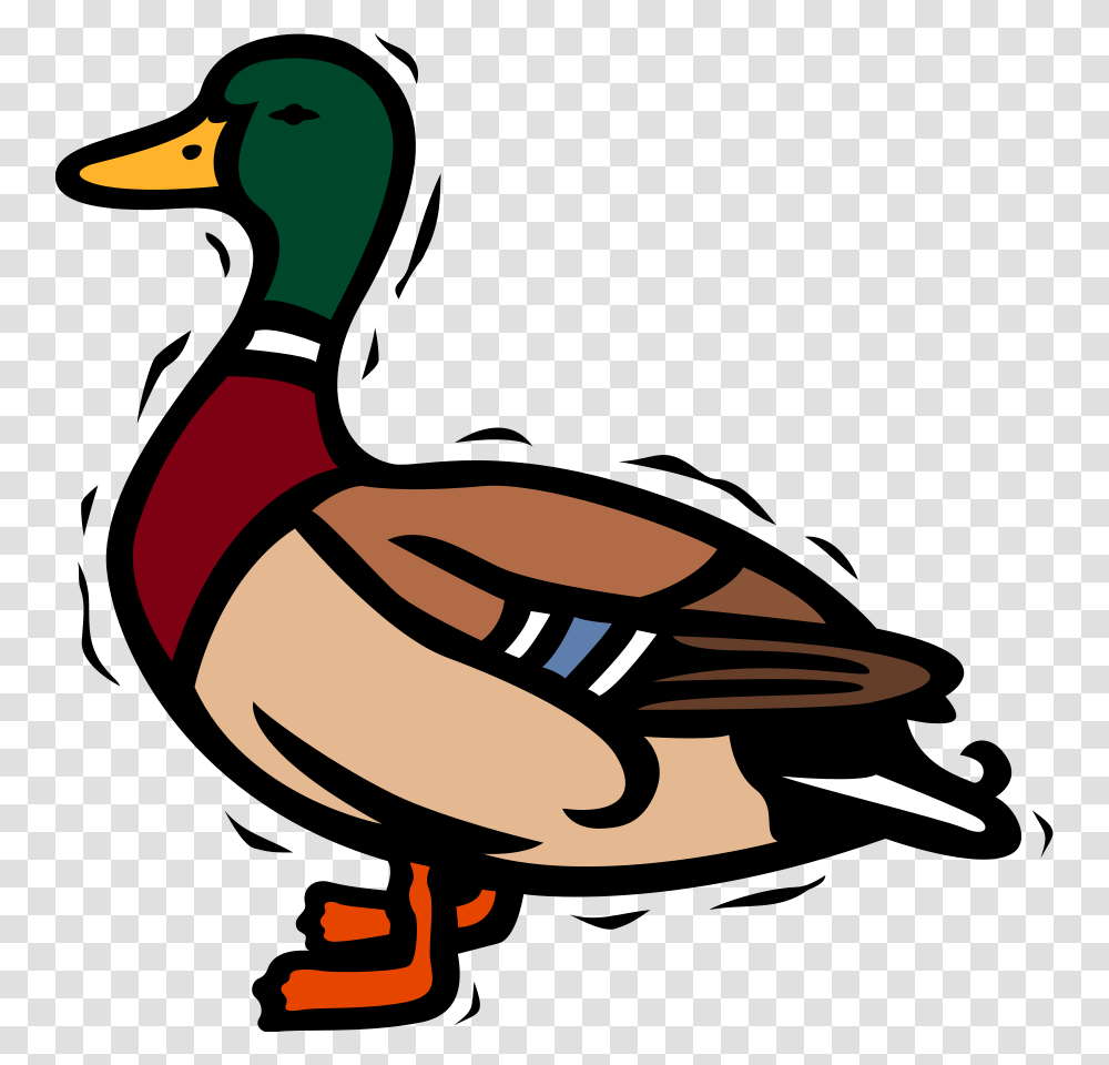 Cartoon Clip Art, Waterfowl, Bird, Animal, Duck Transparent Png