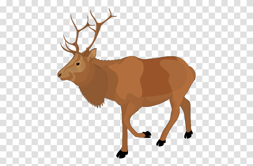 Cartoon Cliparts, Elk, Deer, Wildlife, Mammal Transparent Png