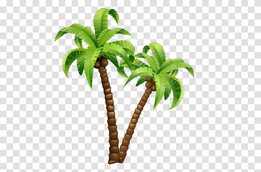 Cartoon Coconut Tree Download Beach Background Summer Design, Plant, Palm Tree, Arecaceae, Leaf Transparent Png
