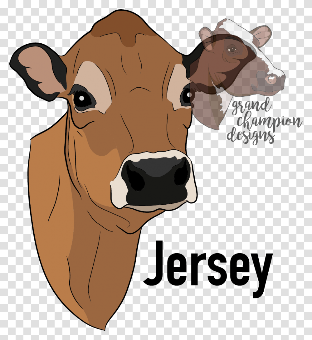 Cartoon Cow Jersey Cow Head Clip Art, Cattle, Mammal, Animal, Dairy Cow Transparent Png
