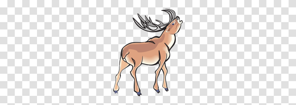 Cartoon Deer Clipart Free Clipart, Antelope, Wildlife, Mammal, Animal Transparent Png