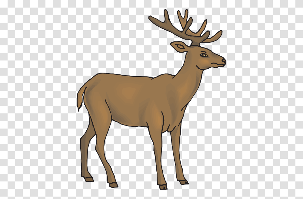 Cartoon Deer Clipart, Wildlife, Mammal, Animal, Antelope Transparent Png