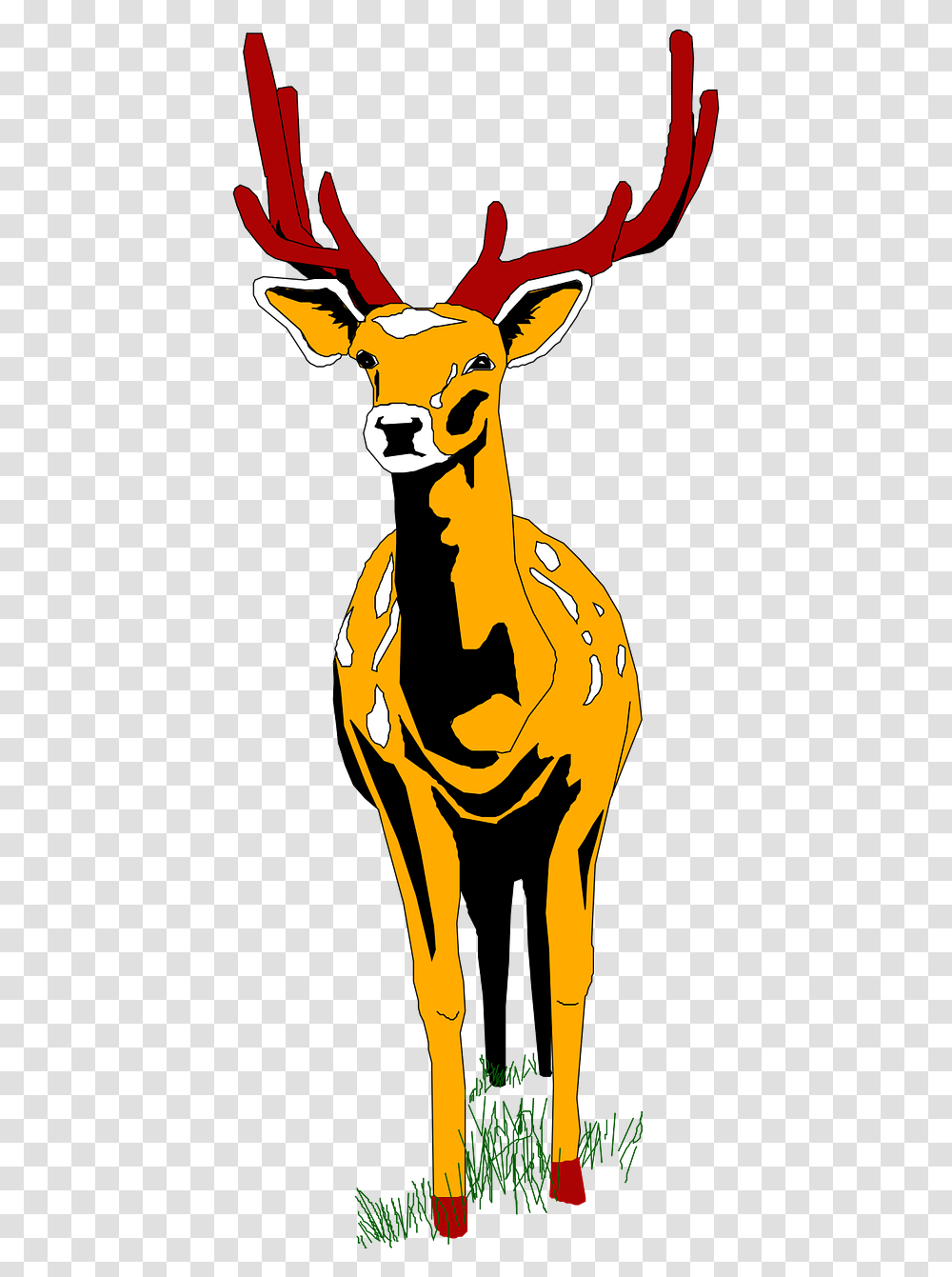 Cartoon Deer Front View, Mammal, Animal, Wildlife, Kangaroo Transparent Png